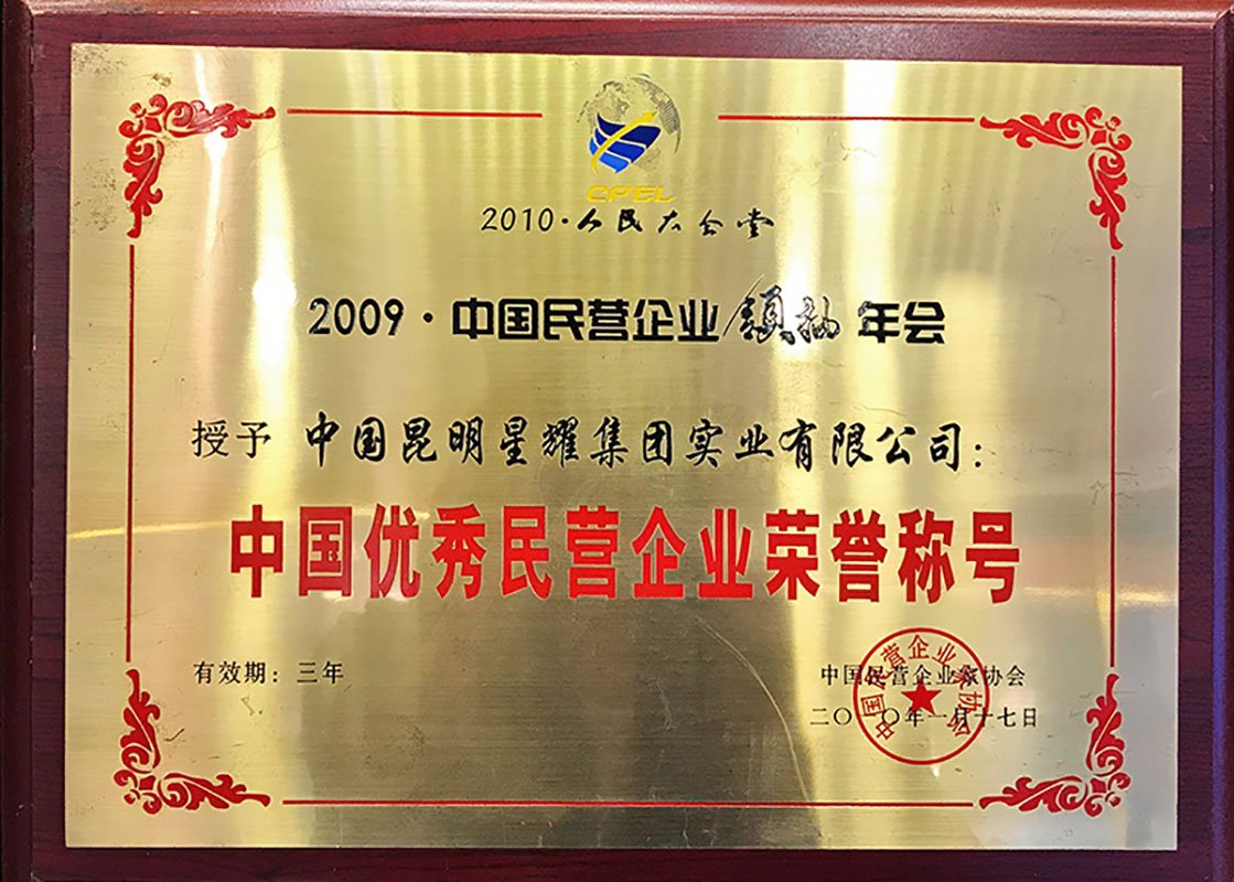 2009年中国优秀民营企业（2010）